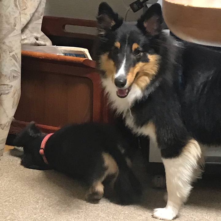 7ccf3e8e af79 44a1 a7bb 193bf5392d45 1541454698459