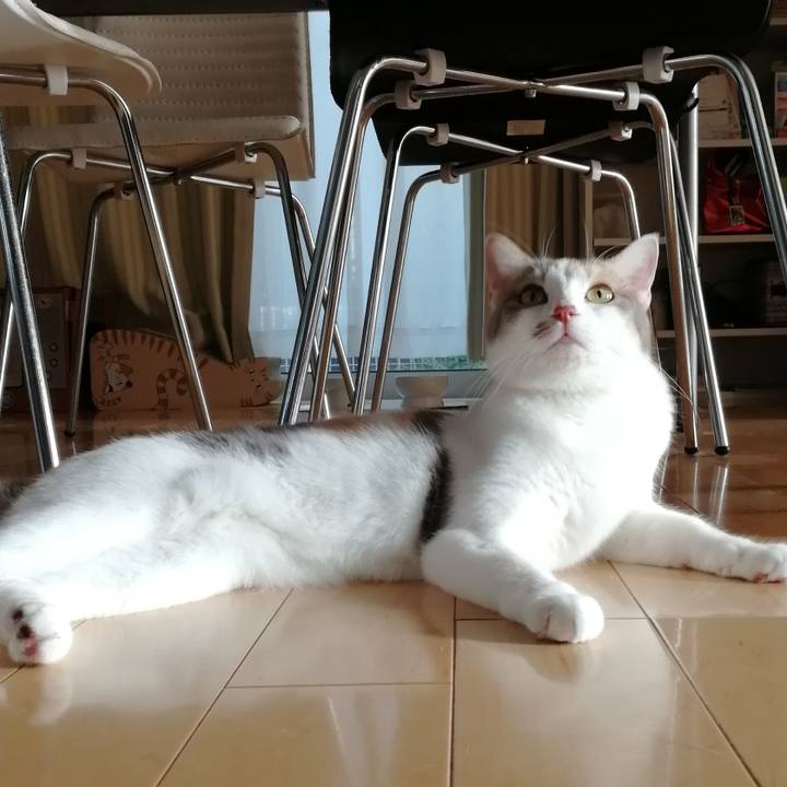 7ccf487f 188b 4cf8 8dcd 6427c2e2a265 1559118316368