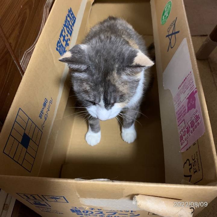 7ccf5322 cb39 4d88 b781 46e5b6e708a0 1659996982799