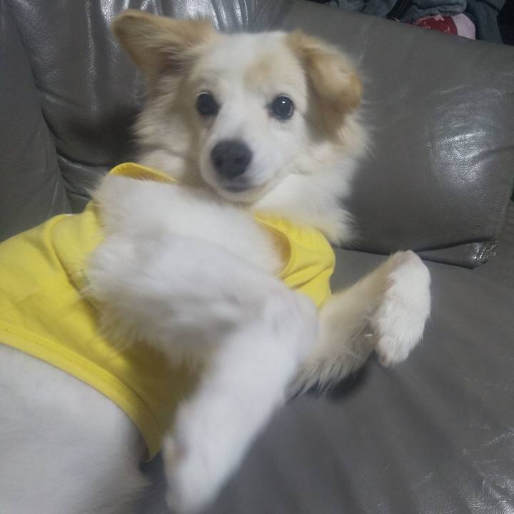 7ccf7700 f12a 412a 90cd 3686cab52bdb 1637638394805