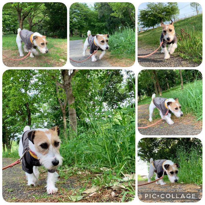 7ccfc063 d5f2 40e4 a66f 12932dfe5095 1619515498038