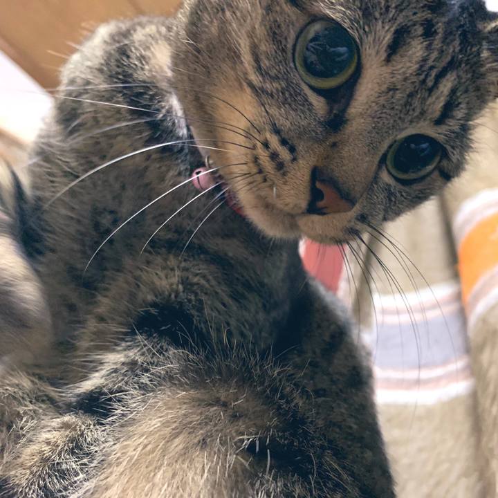 7cd0062d e78c 4e1c a19d 224c7f7bd363 1545830541770