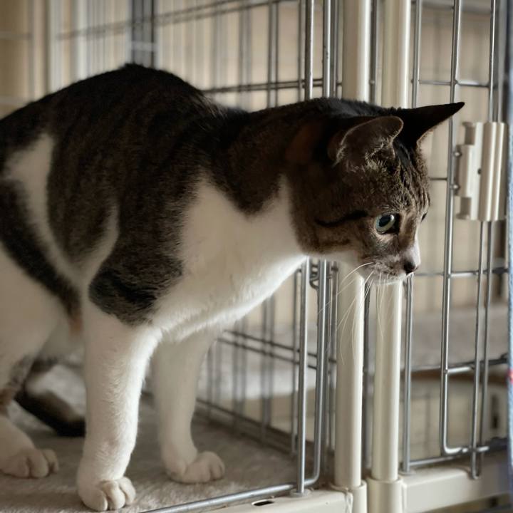 7cd03cd9 f6c6 4a7f ae31 f6e479102310 1610157307899