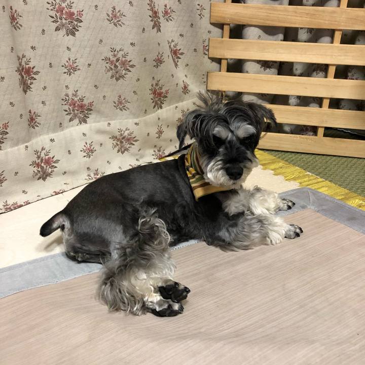 7cd0646c 3090 4fe2 8b22 c3bda64bc1e5 1655728514120