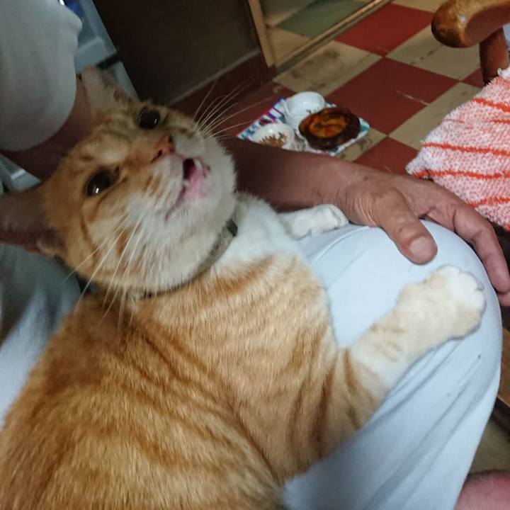 7cd094de 82c7 437a 9418 ffd0d6060352 1593085790896