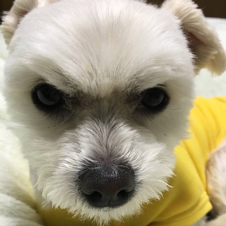 7cd12265 b197 45cb a568 ae81255824c0 1555158103923