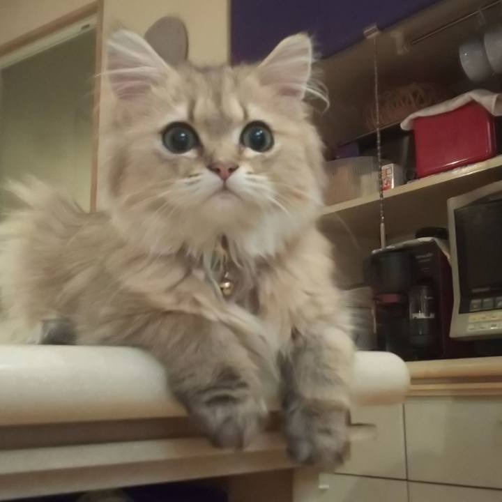 7cd12adf 40de 46fe 9bd4 e50011d4accf 1559608753068