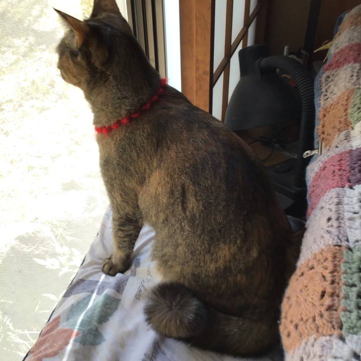 7cd13330 97f9 4c76 b3b6 5da0be61a549 1614048432791