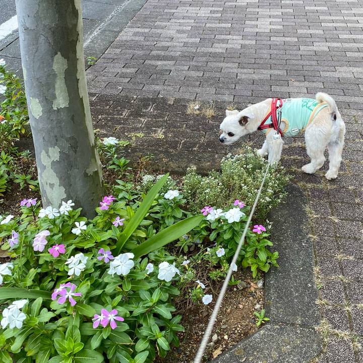 7cd13fae ea8a 4b61 bf16 c98aad177c62 1634353295845