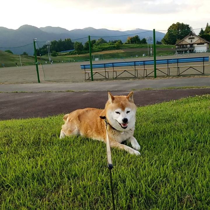 7cd14449 9c52 4547 b82f 1523471052bf 1657099617605