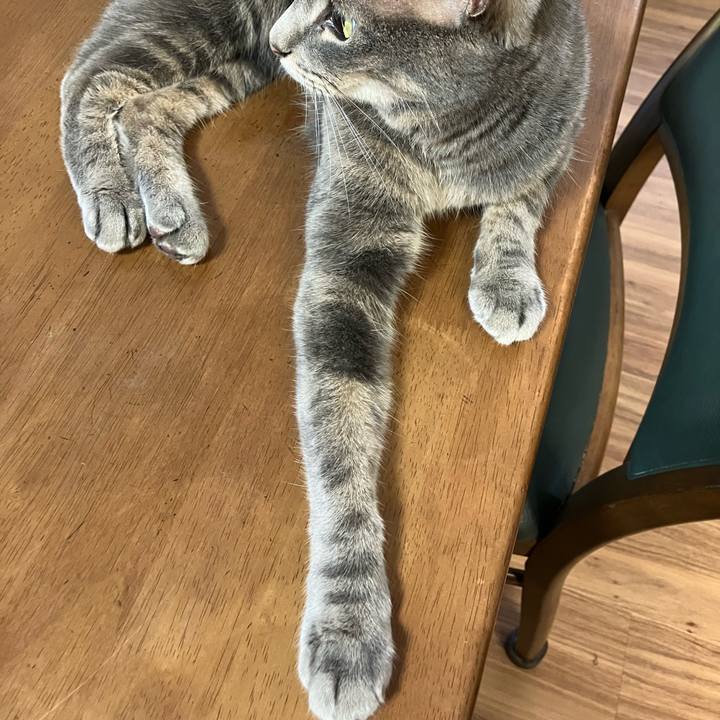 7cd14759 ae85 4d6e b013 8224c2791952 1750165044945