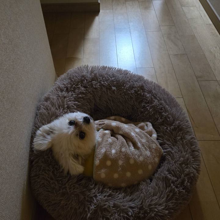 7cd17fbe 8b90 4240 99ad 851f82b94444 1767755847036