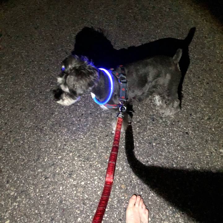 7cd1b91d 7b52 42fe a870 715c73ecd168 1656684235527