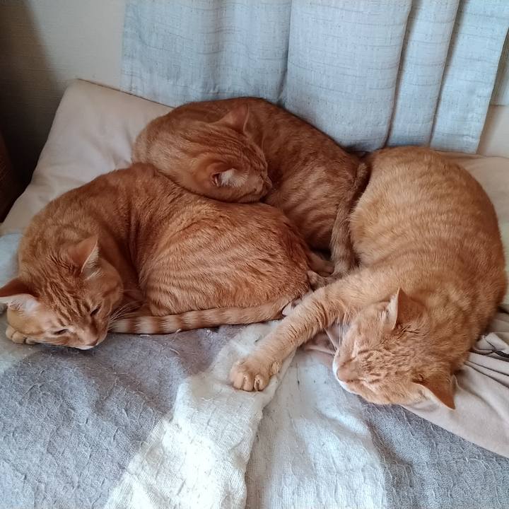 7cd1ee3a b2d2 4084 afd2 2419145fdbd7 1589441222084