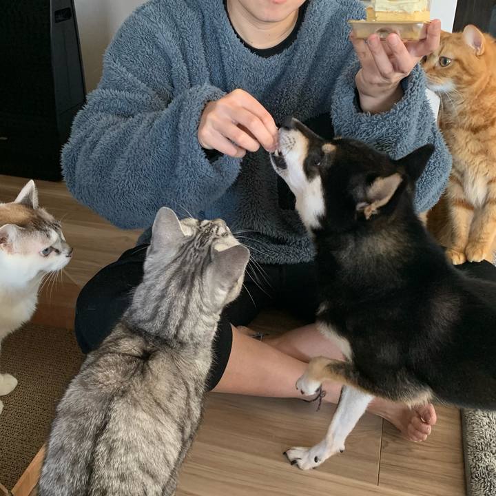 7cd1fb6d f0e1 457f bf69 a873c765bd5d 1640995945927