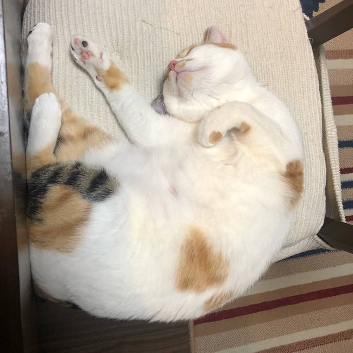 7cd21909 6e54 4228 b71a 5fd893ea567e 1588503698244