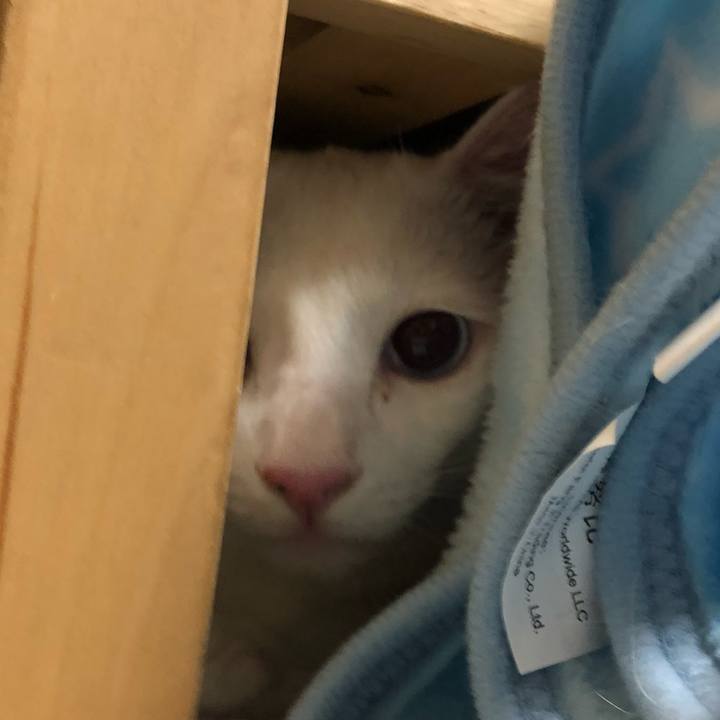 7cd2206b d045 42eb a02c 0fdef3aeaa92 1546689430728