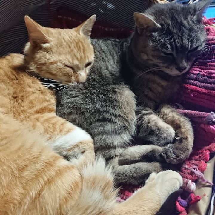 7cd22558 02e6 46ee a0aa d3149a8f048d 1558432243692