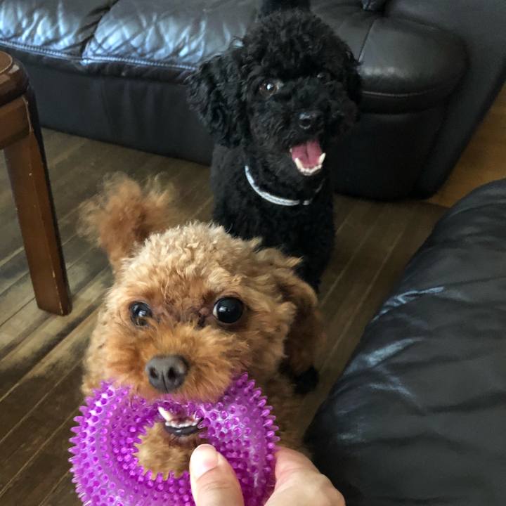 7cd2416b bde6 4517 9d91 01b9729b0b58 1534209747968