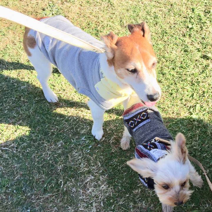 7cd251a1 9fa1 48dc 868f 80b9d91dcec8 1512997506804