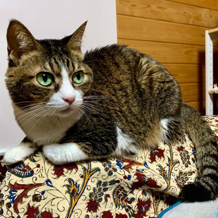 7cd2d203 4398 42a6 8684 f4ee7dbc1141 1644405993301