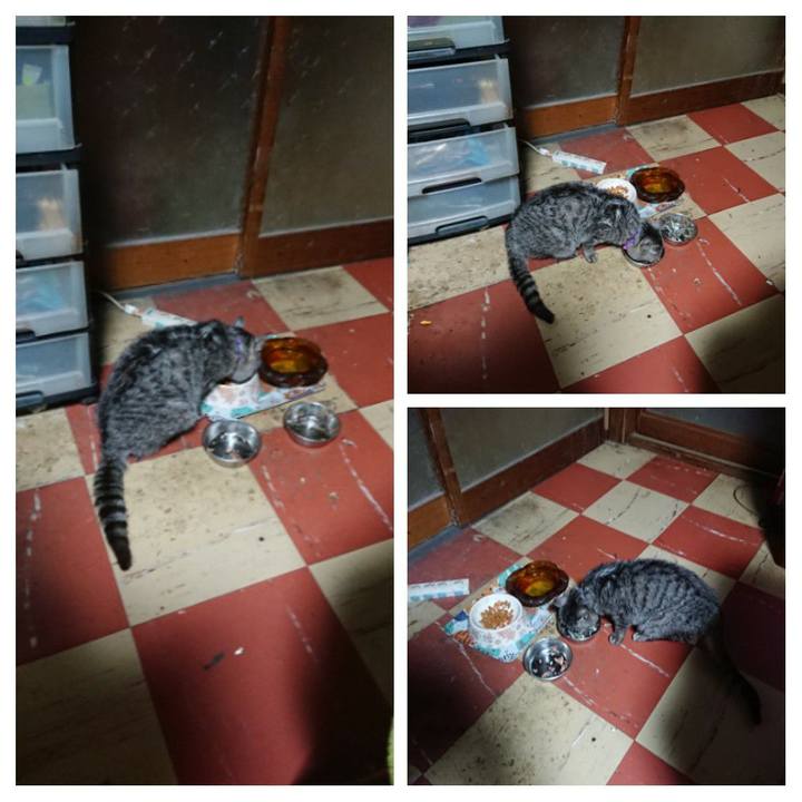 7cd3177a 838d 4f3e abb5 1a214268169a 1583354175378