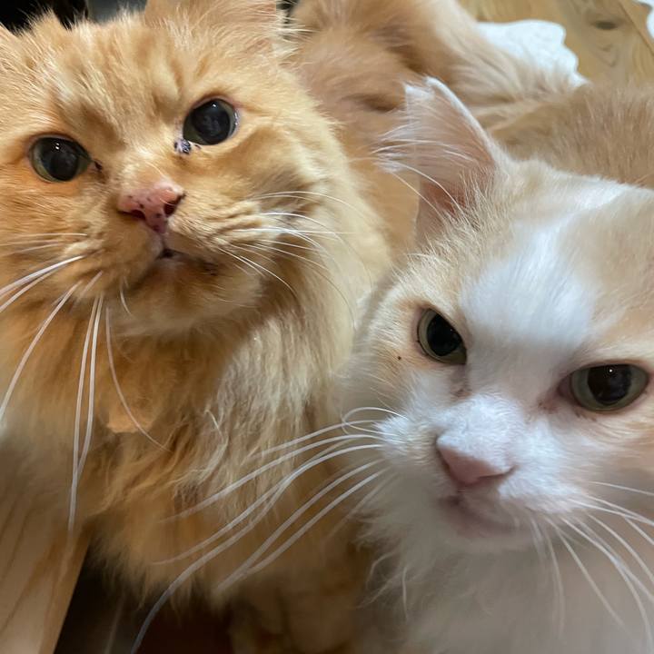 7cd31c1a a6d5 4cc7 a081 e7adfbeb0906 1677788342421