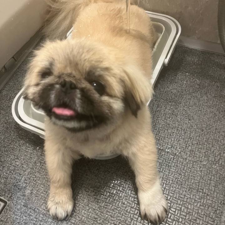 7cd33e11 06db 4a5e 9d87 a3c1c7e88992 1722893838954