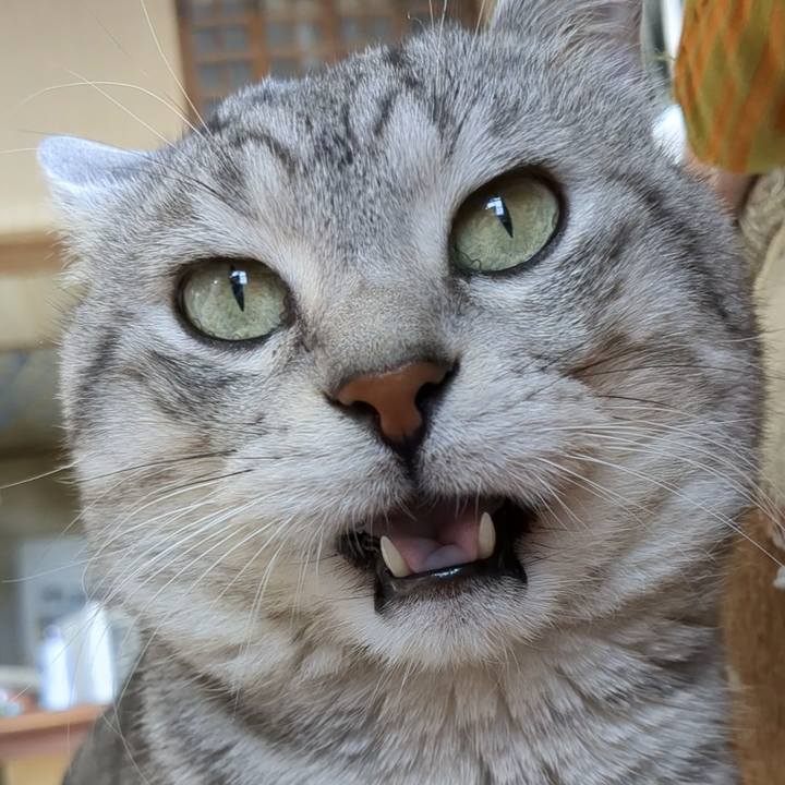 7cd34554 b21d 4dbb 86c7 b76aafa79416 1706581952622