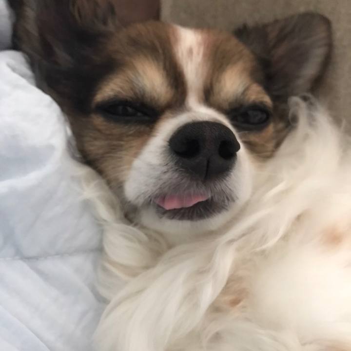 7cd39372 f964 4985 b017 821db9e45397 1558418460840