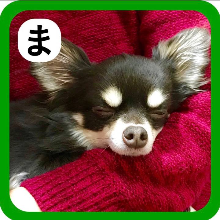 7cd39396 4dfe 4e84 aa3d c33211018515 1514952153808