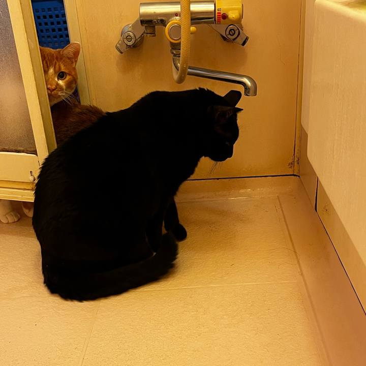 7cd39589 6400 43de 8014 799acfccfd1c 1722327972811