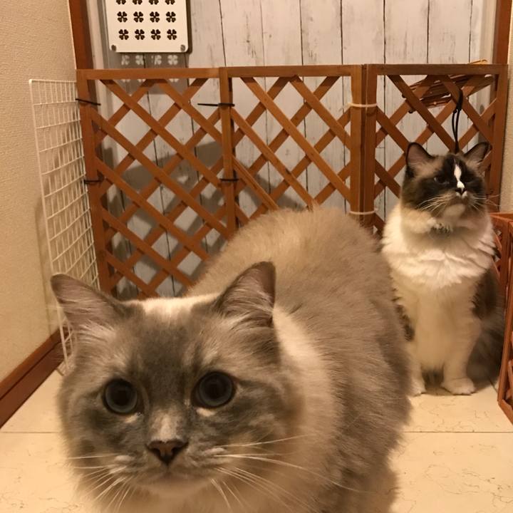 7cd3dcd6 c86c 4dcb a647 dc52c03158f0 1516455569786