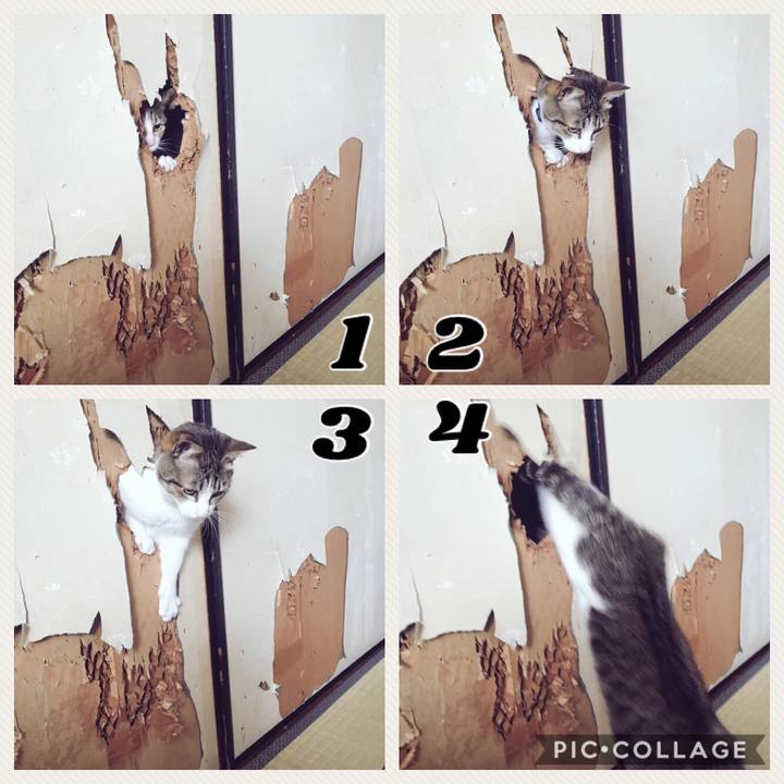 7cd403b7 cdf9 45a1 81f3 fca0ed3f9524 1518514738671