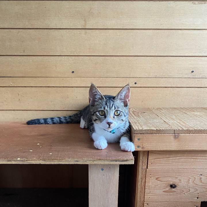 7cd42c48 9f87 4691 980f 74ed0bcdf562 1629852863948