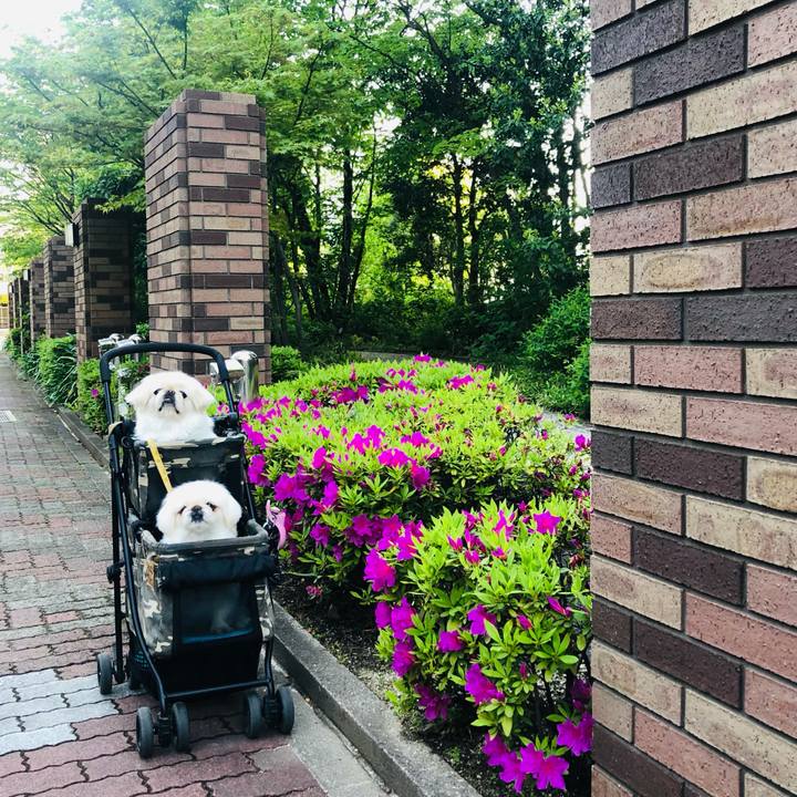 7cd42e7f 63e5 4b03 ae4b 159deb30229b 1618787921019