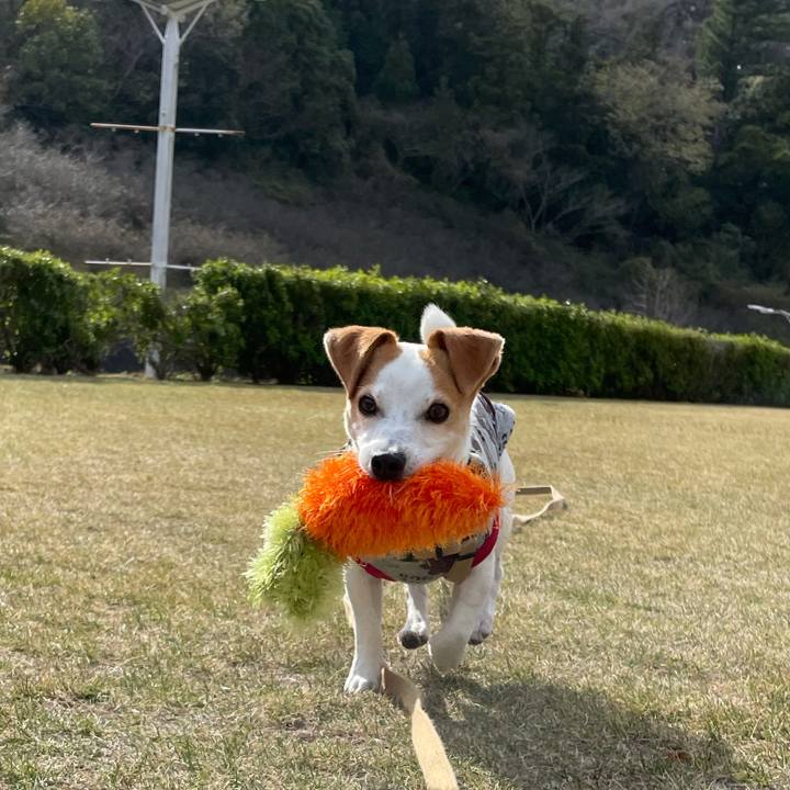 7cd45c8b 6b9b 4d62 b513 03d97e4c325c 1616145667650