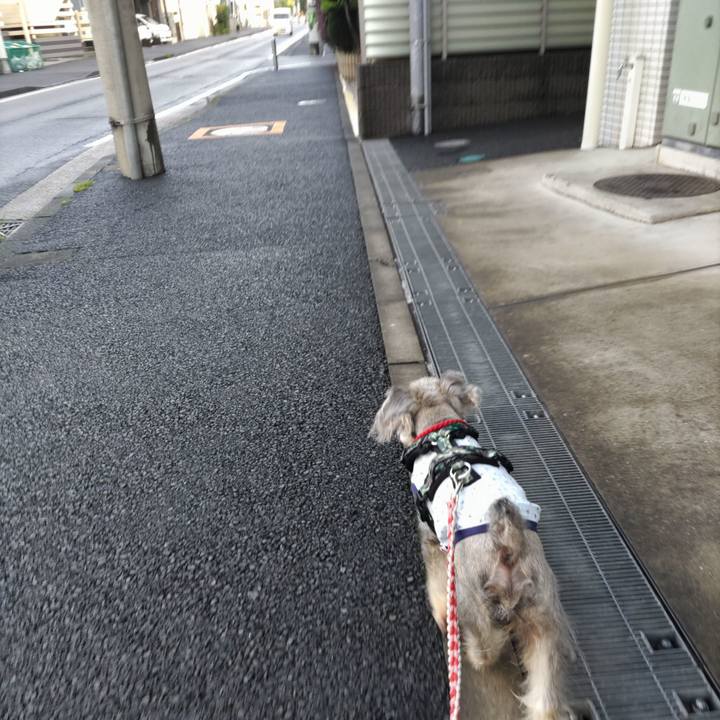 7cd471cb 849b 4c4e 894e 62110b425751 1686886657232