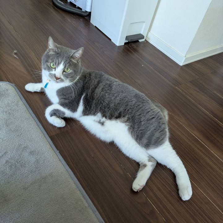 7cd47d23 a857 48a4 9690 792182cf9f01 1746578728169