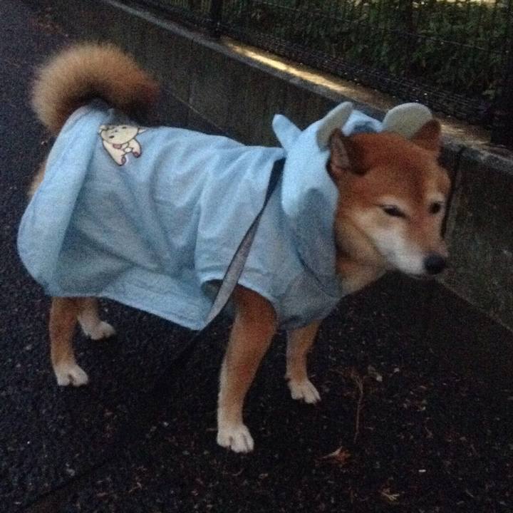 7cd4a86a 1de7 44e3 850f 2f91430d0249 1536570945489