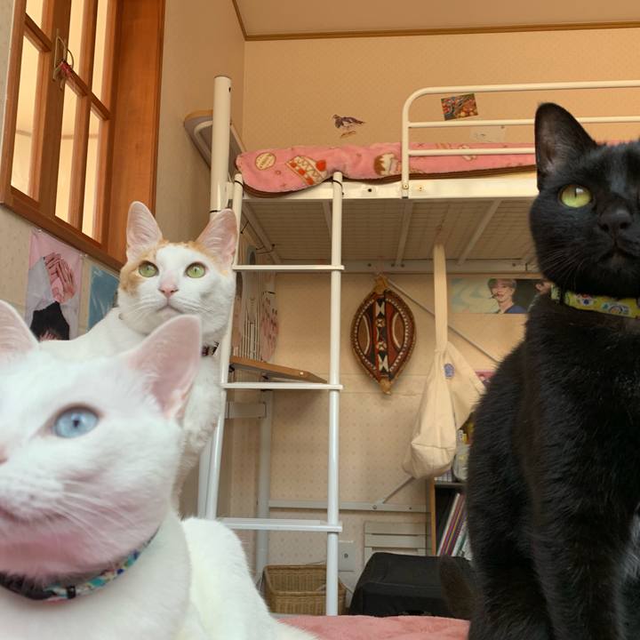 7cd4b3f9 4726 45c8 a423 60a086a92755 1555740574636