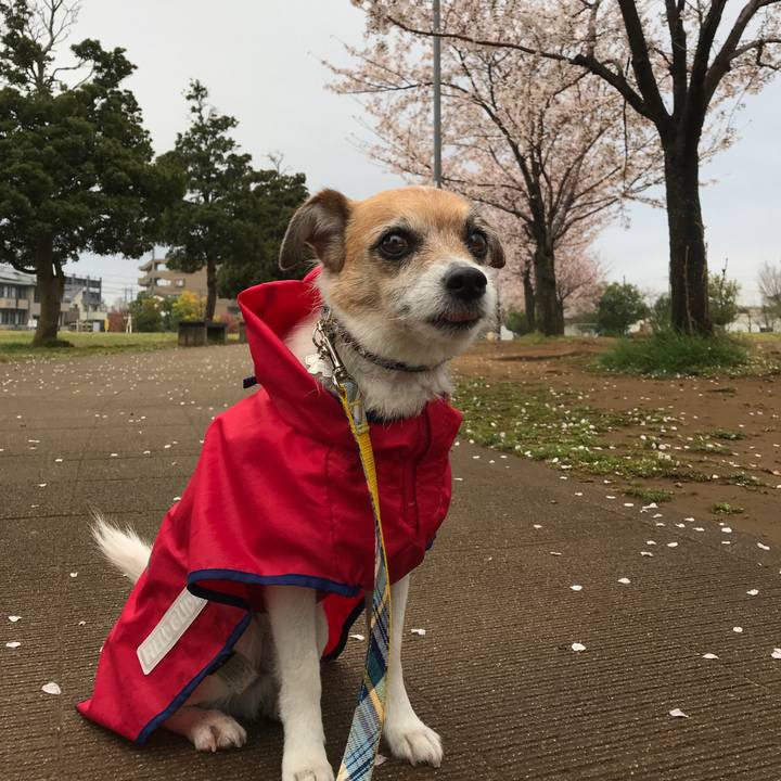 7cd4b50e e446 4214 a82b 2418a01a35b4 1585355536762