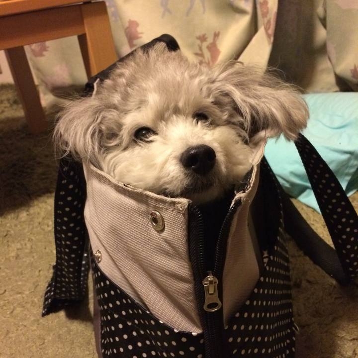 7cd4bd1b 6d8a 4f30 a260 c7f7be81e5dd 1717990055817