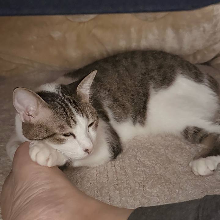 7cd4c8da 5f1c 407e 8dfa f03a29074a62 1762676581815