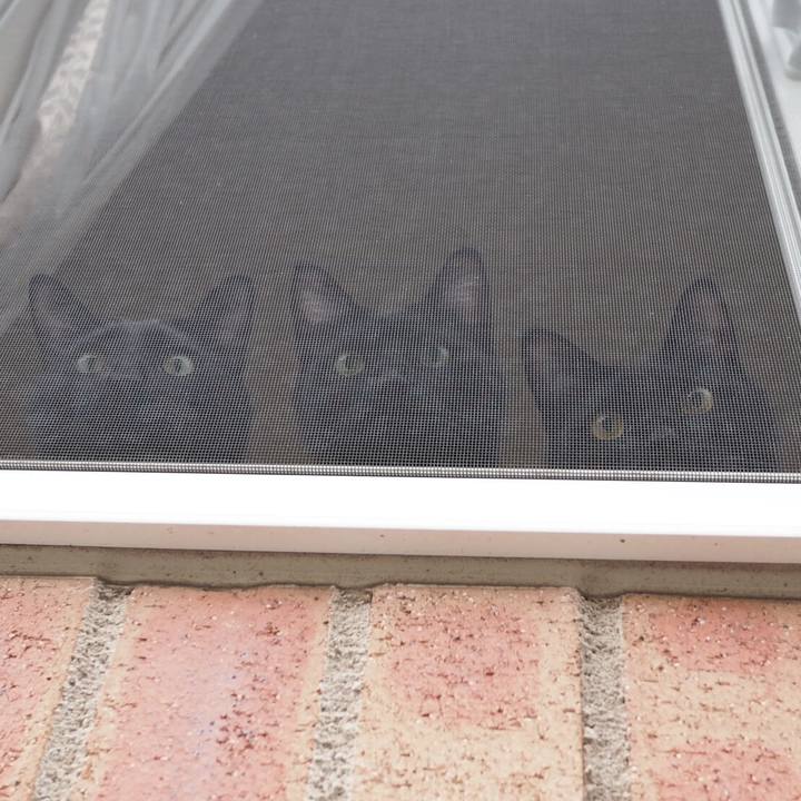 7cd4f0da 0d14 43a4 b5da 05dd8e76e9e3 1540510269755