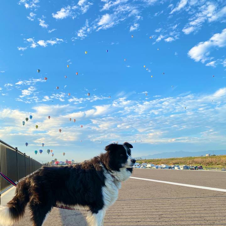 7cd502a5 e6cc 405f 9351 df191275f71d 1667342524255