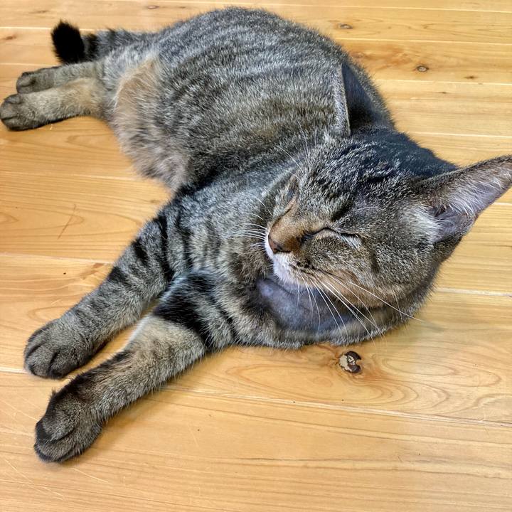 7cd518ba bac5 4a86 b561 a983cf461036 1634042017273