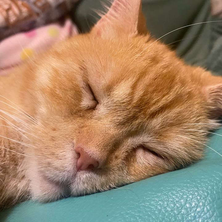 7cd545f1 92d4 4624 bea5 1a39386d0884 1636043235699