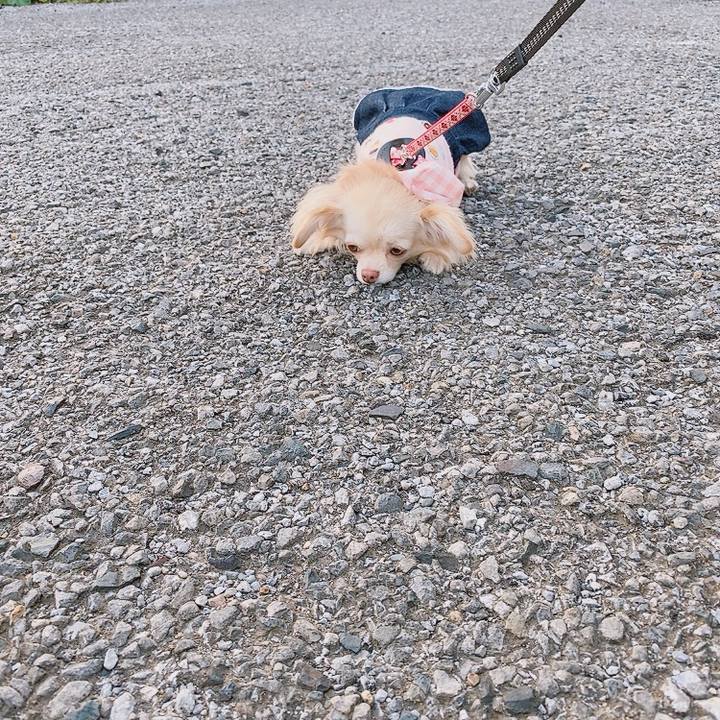 7cd5504b 1160 4a08 96c1 6c6f0da3ff86 1619775646209