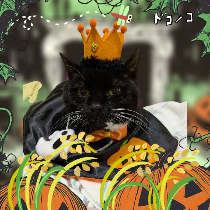 7cd5719e baf4 4e01 bed5 f6521a84889c 1761748161982